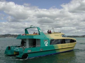 Dolphin Tours, Russell, New Zealand